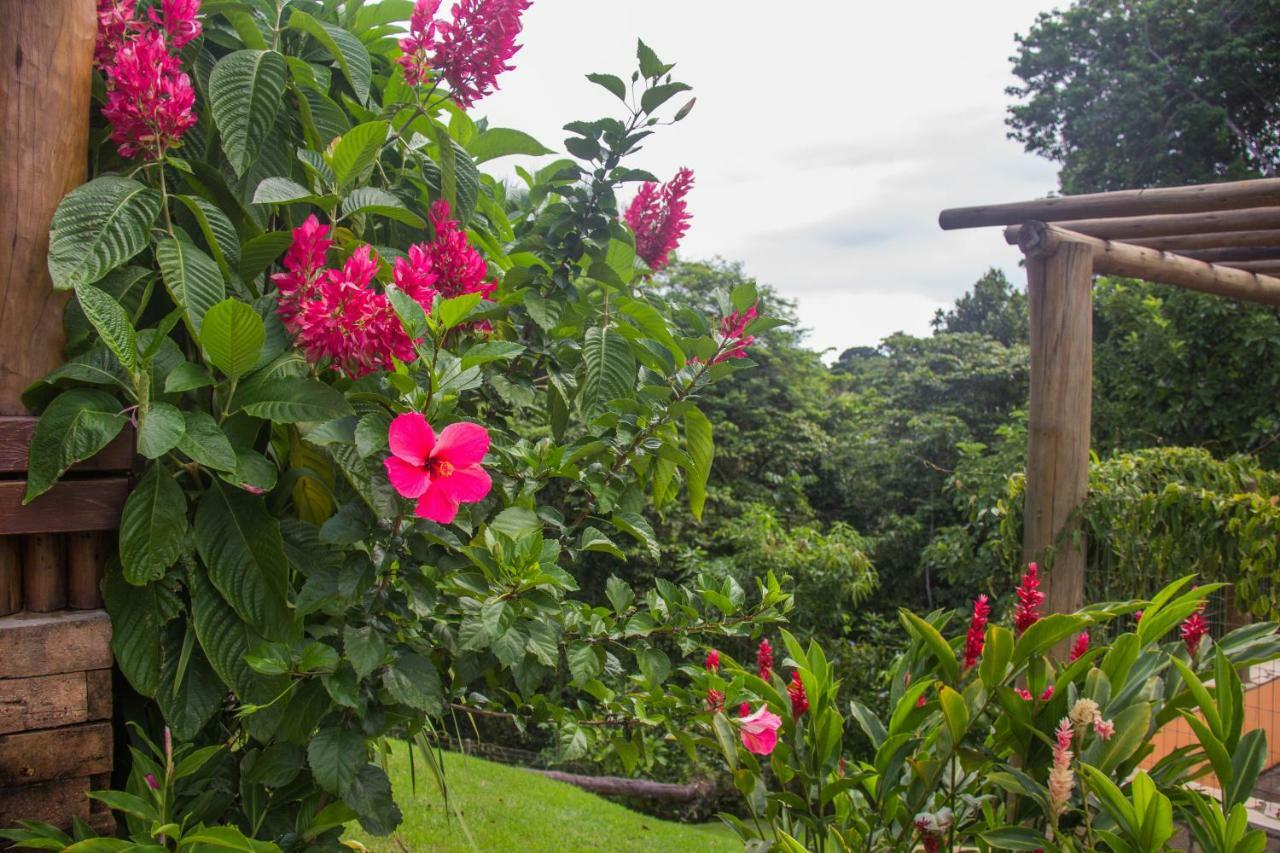 Linda Casa Em Itacare Bahia Villa Eksteriør bilde